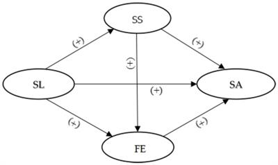 Serious leisure and successful aging among elderly air volleyball players: examining the mediating role of social support and flow experience